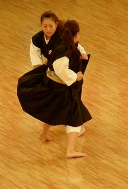 Shorinji Kenpo -- Japanese Kung Fu